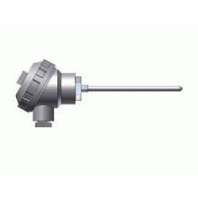 100Mm Long Pt100 Rtd - Small Aluminium Connection Head