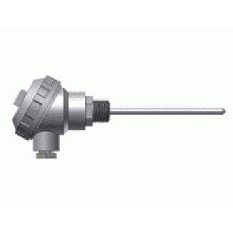 100Mm Long Pt100 Rtd With Large Aluminium Connection Head,1/2"BSP